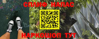 амф Краснодар