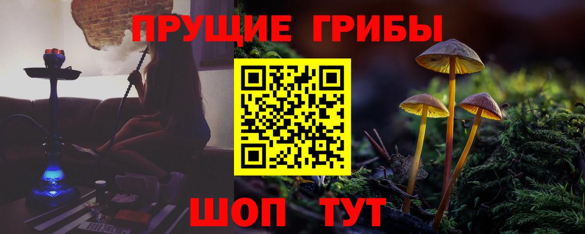 купить   Вход с VPN  Галлюциногенные грибы ЛСД  Заводоуковск  Галлюциногенные грибы Magic Shrooms 